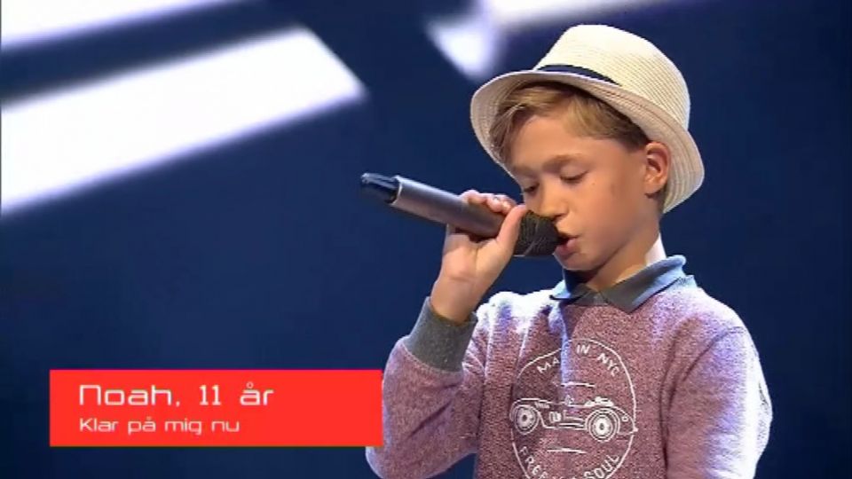 dommere the voice