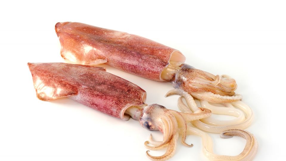 Stegte blæksprutter chili og fennikel - TV 2